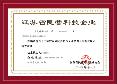 民营科技企业
